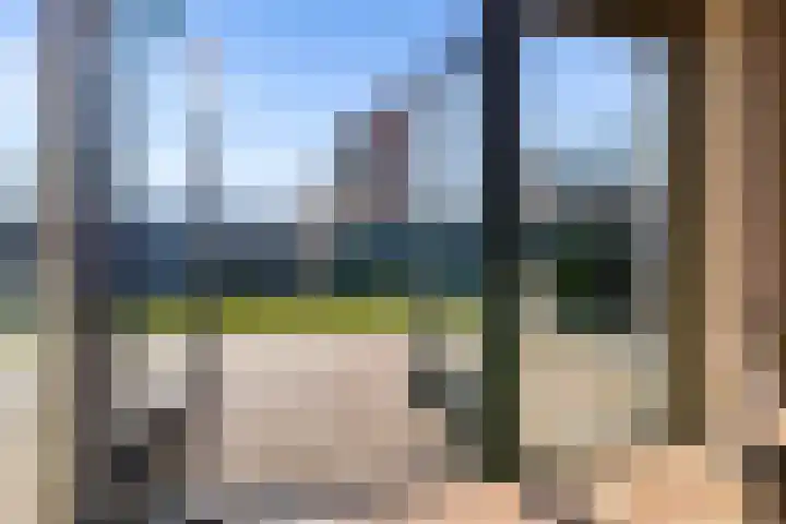 Zwenkgras 2 Lelystad thumbnail 43