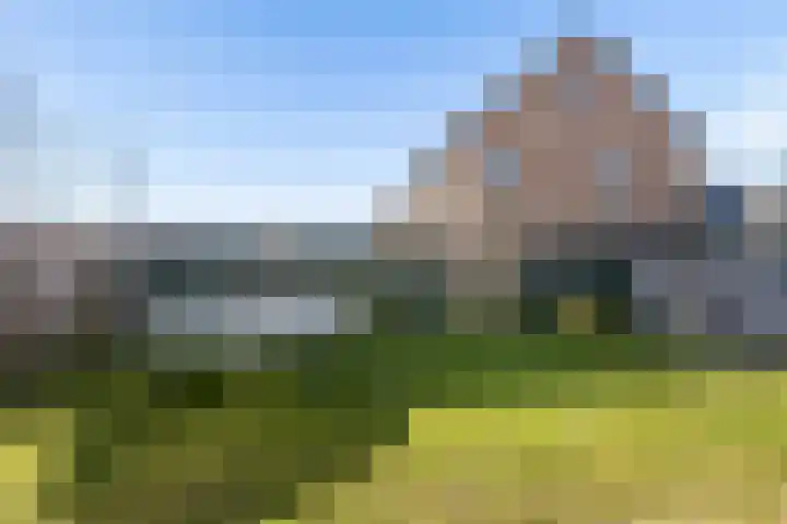 Zwenkgras 2 Lelystad thumbnail 44