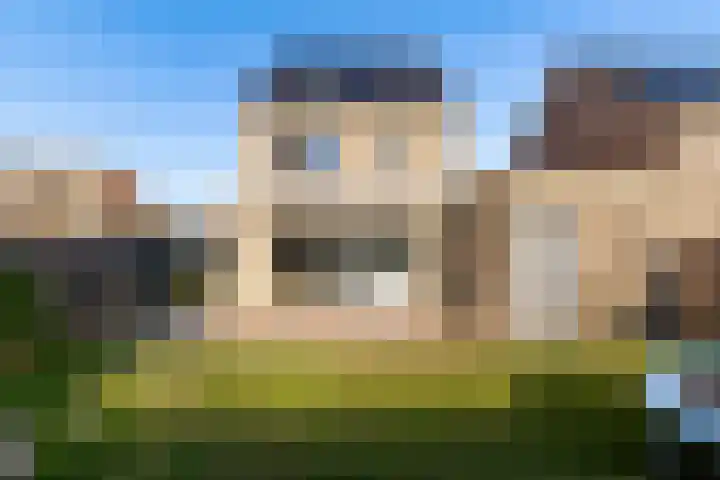Zwenkgras 2 Lelystad thumbnail 45