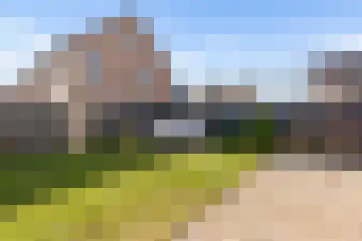 Zwenkgras 2 Lelystad thumbnail 46