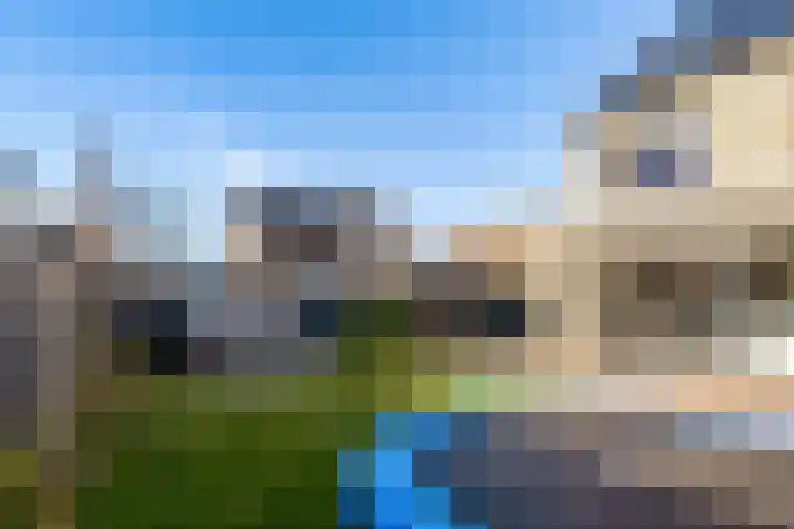 Zwenkgras 2 Lelystad thumbnail 49