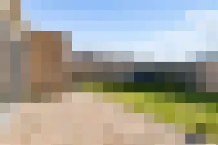 Zwenkgras 2 Lelystad thumbnail 50