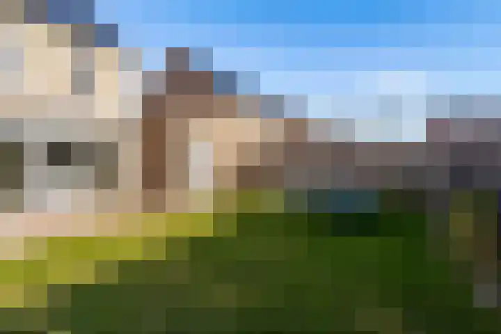 Zwenkgras 2 Lelystad thumbnail 51