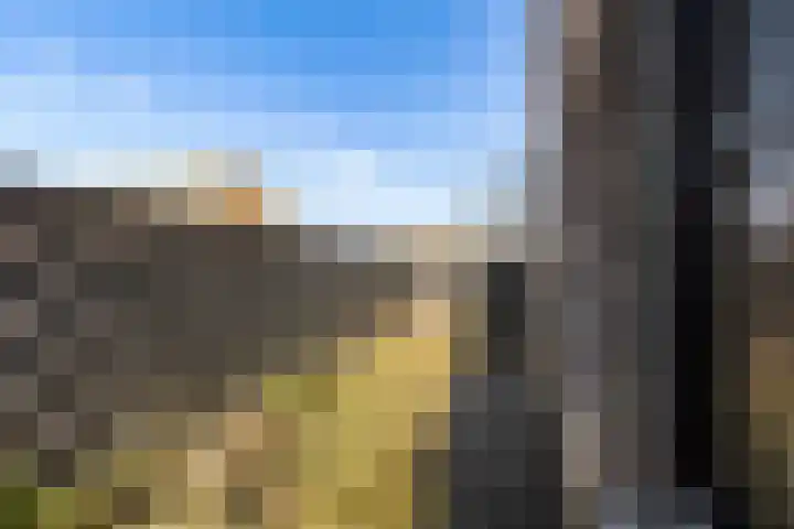 Zwenkgras 2 Lelystad thumbnail 52