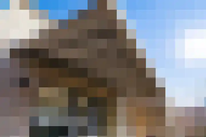 Zwenkgras 2 Lelystad thumbnail 53