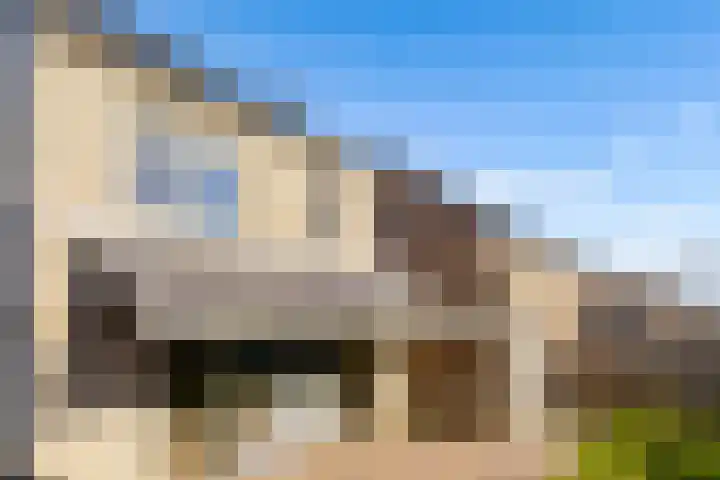 Zwenkgras 2 Lelystad thumbnail 55