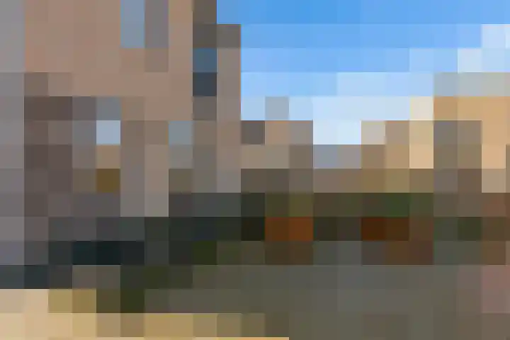Zwenkgras 2 Lelystad thumbnail 57