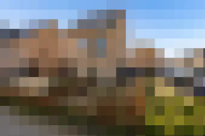 Zwenkgras 2 Lelystad thumbnail 58
