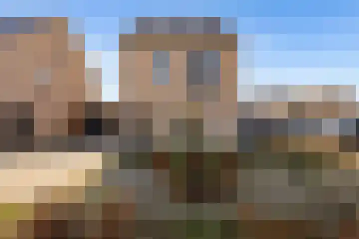 Zwenkgras 2 Lelystad thumbnail 6