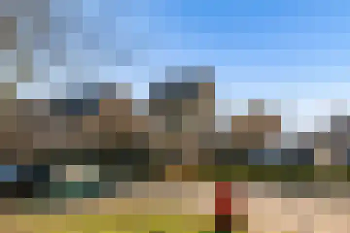 Zwenkgras 2 Lelystad thumbnail 60