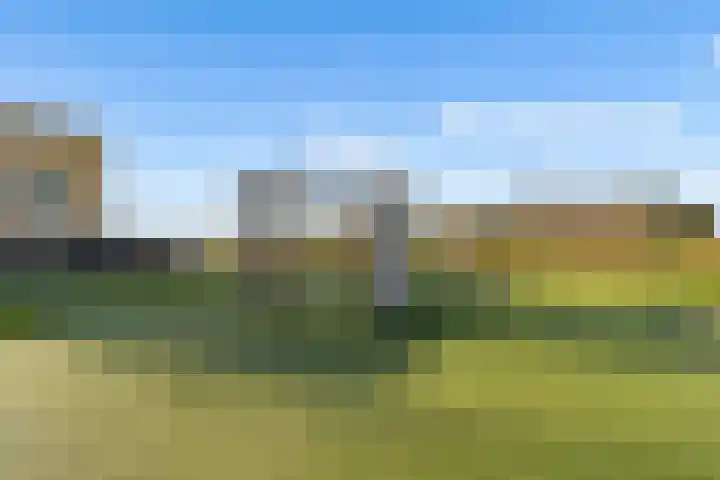 Zwenkgras 2 Lelystad thumbnail 61
