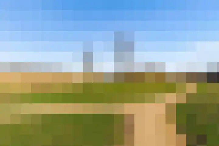 Zwenkgras 2 Lelystad thumbnail 63