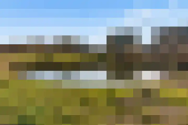 Zwenkgras 2 Lelystad thumbnail 64