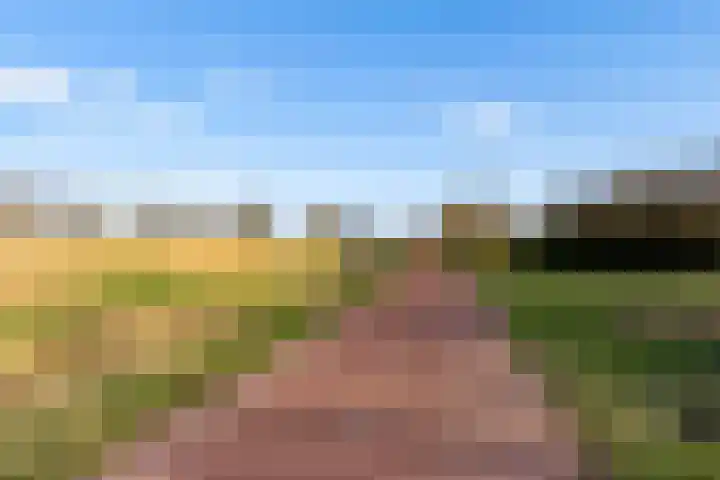 Zwenkgras 2 Lelystad thumbnail 65