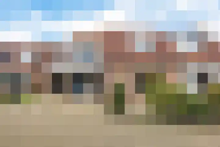 Zwenkgras 22 in Borne