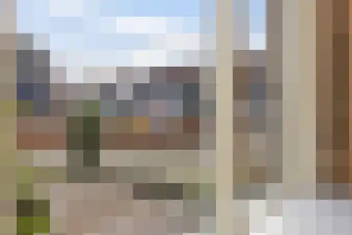 Zwenkgras 22 Borne thumbnail 19