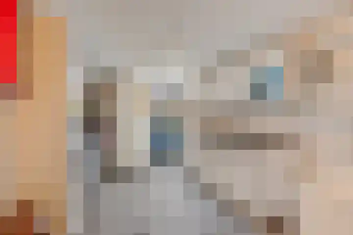 Zwenkgras 22 Borne thumbnail 33