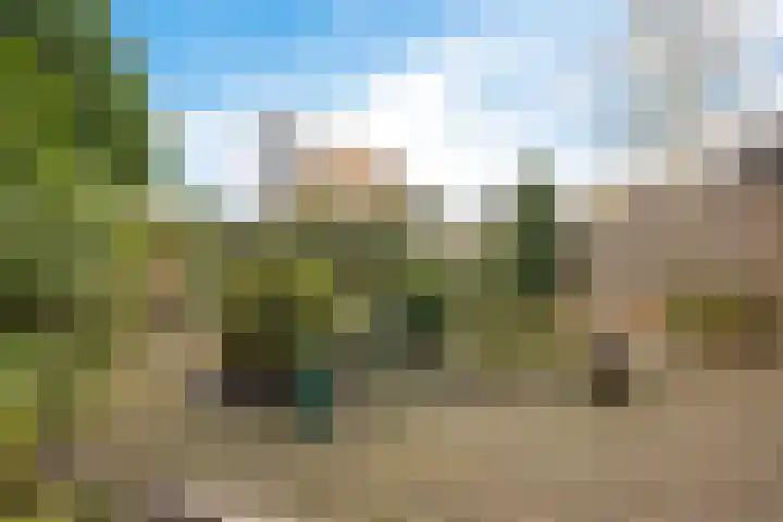 Zwenkgras 22 Borne thumbnail 36
