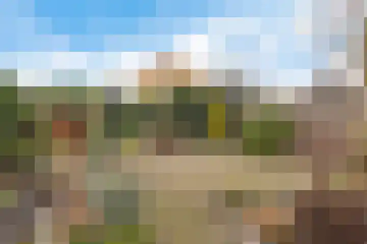 Zwenkgras 22 Borne thumbnail 37