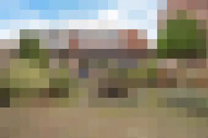 Zwenkgras 22 Borne thumbnail 38