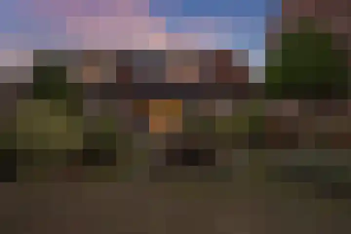 Zwenkgras 22 Borne thumbnail 39