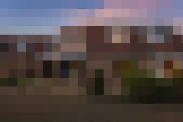 Zwenkgras 22 Borne thumbnail 40