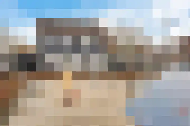 Zwenkgras 22 Borne thumbnail 41