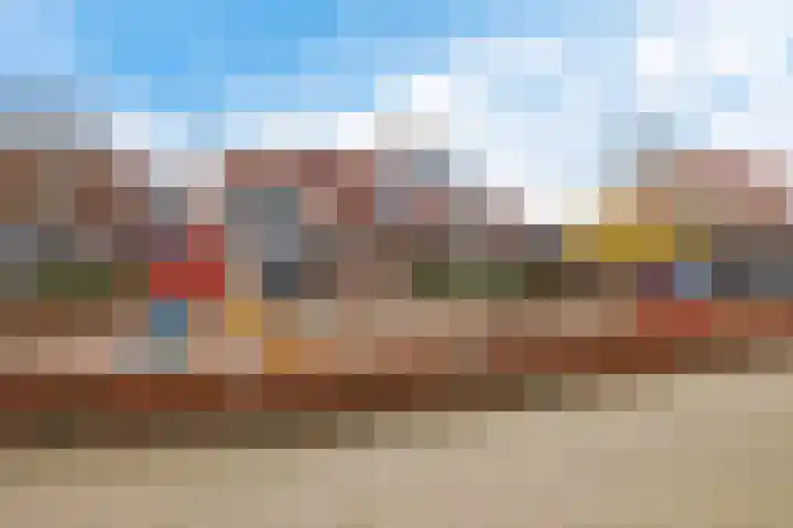 Zwenkgras 22 Borne thumbnail 42