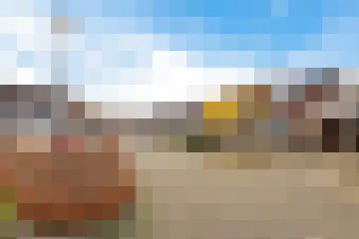 Zwenkgras 22 Borne thumbnail 43
