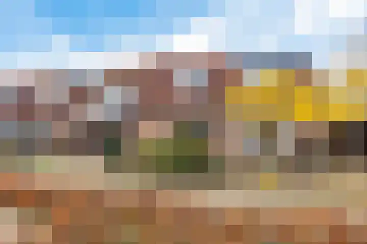 Zwenkgras 22 Borne thumbnail 44