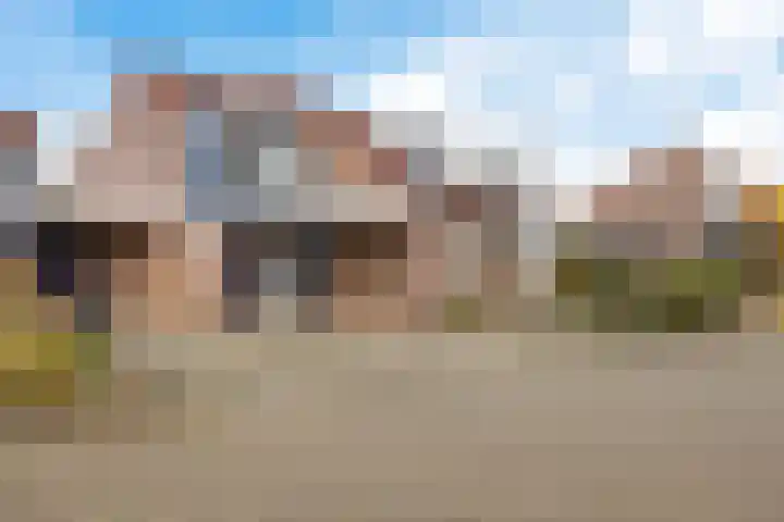 Zwenkgras 22 Borne thumbnail 45