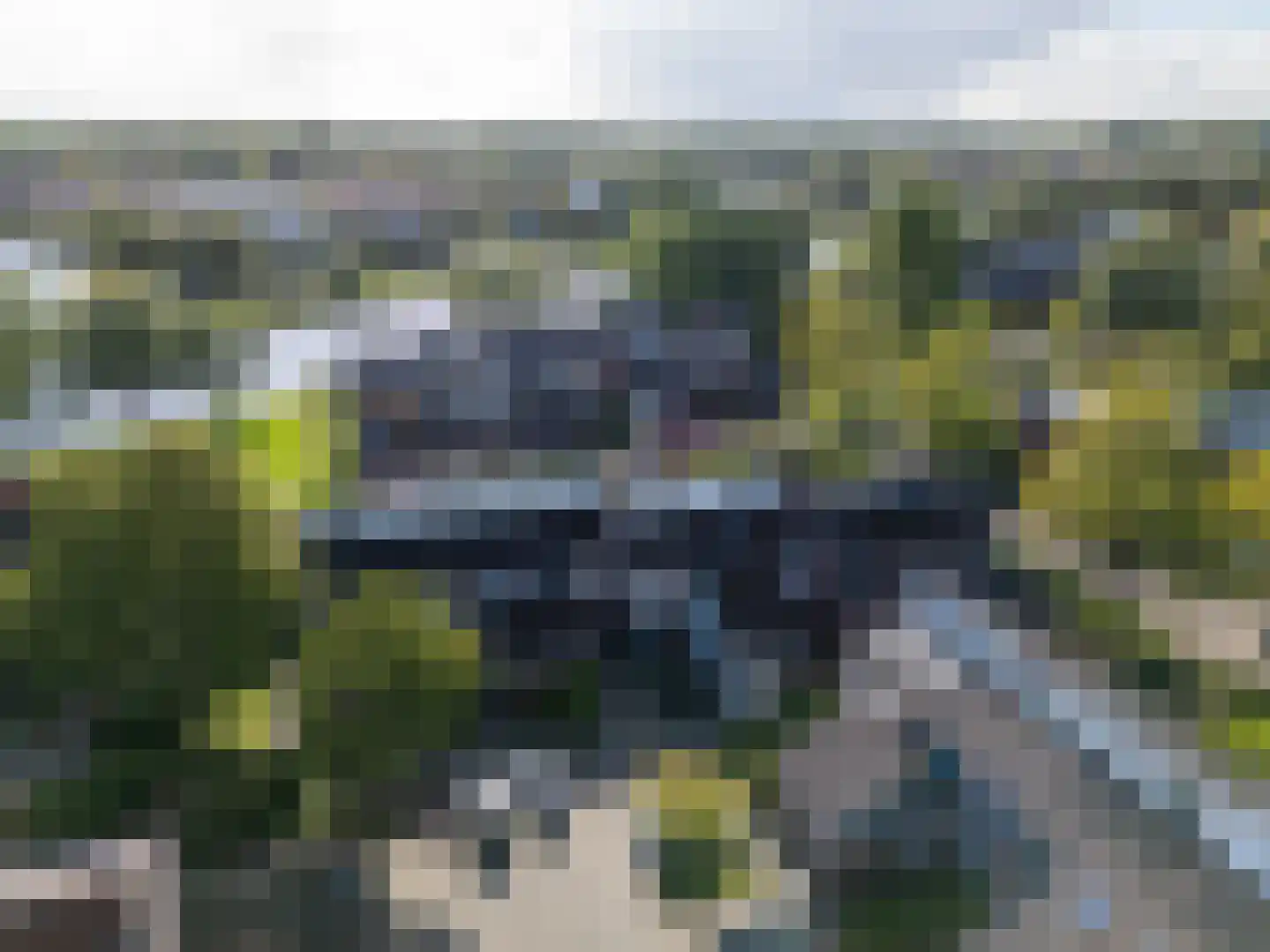 Zwenkgras 22 Leeuwarden thumbnail 12