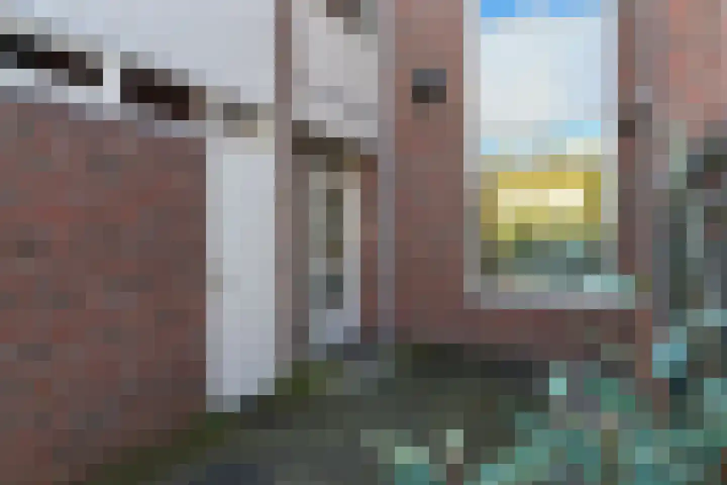 Zwenkgras 22 Leeuwarden thumbnail 15