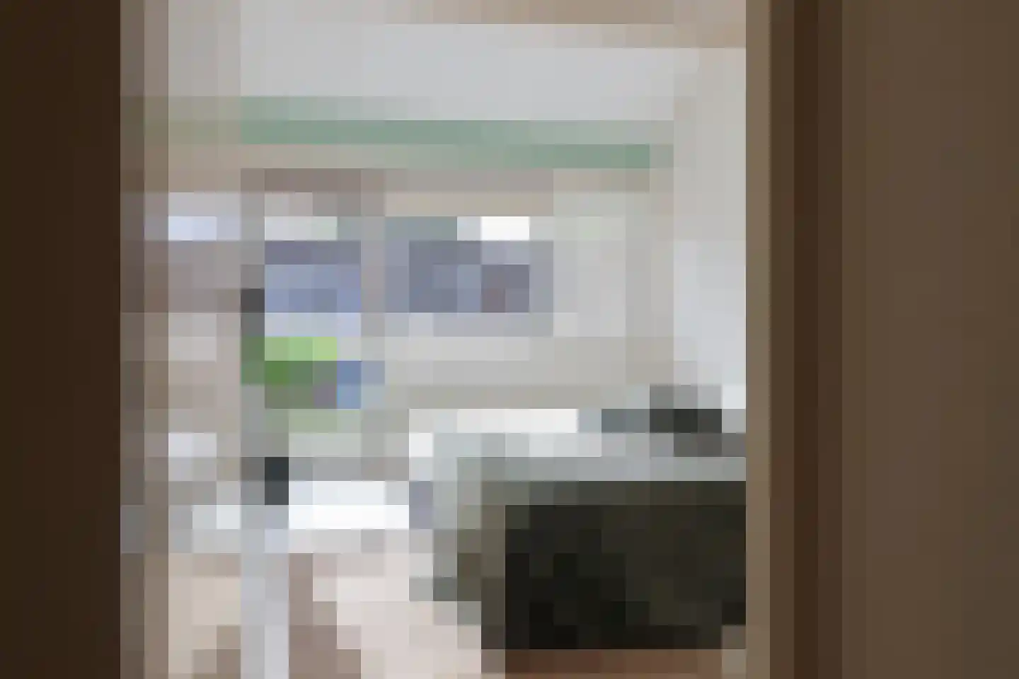 Zwenkgras 22 Leeuwarden thumbnail 41