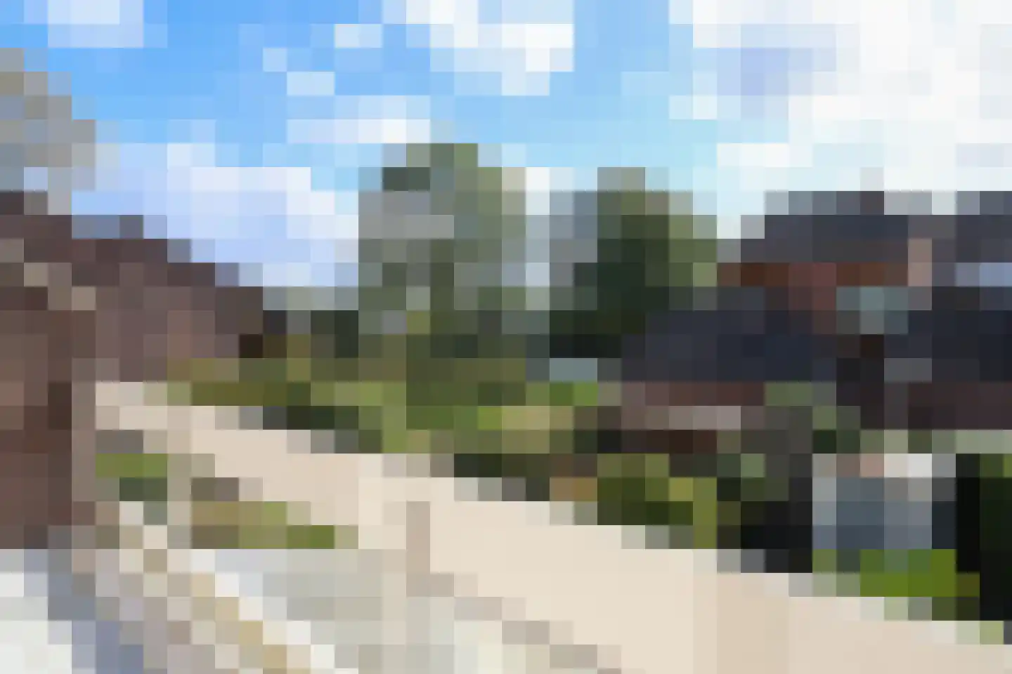 Zwenkgras 22 Leeuwarden thumbnail 55