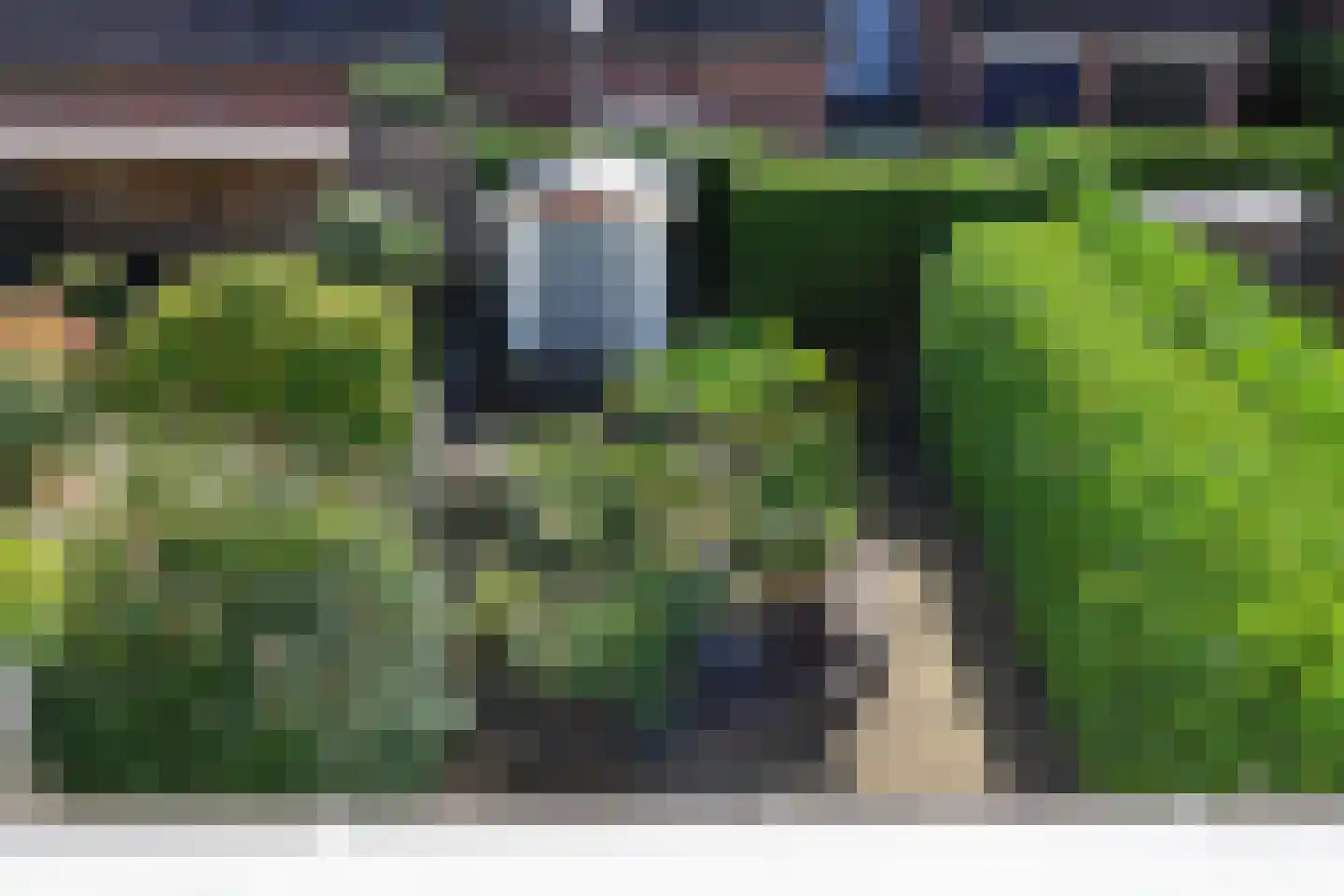 Zwenkgras 22 Leeuwarden thumbnail 56