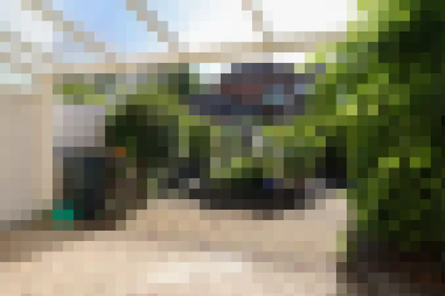 Zwenkgras 22 Leeuwarden thumbnail 57