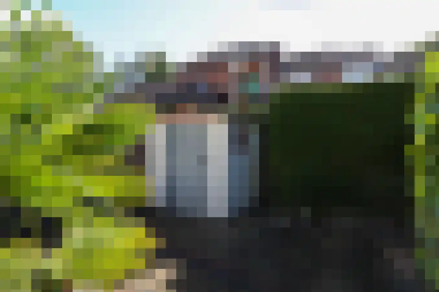 Zwenkgras 22 Leeuwarden thumbnail 59