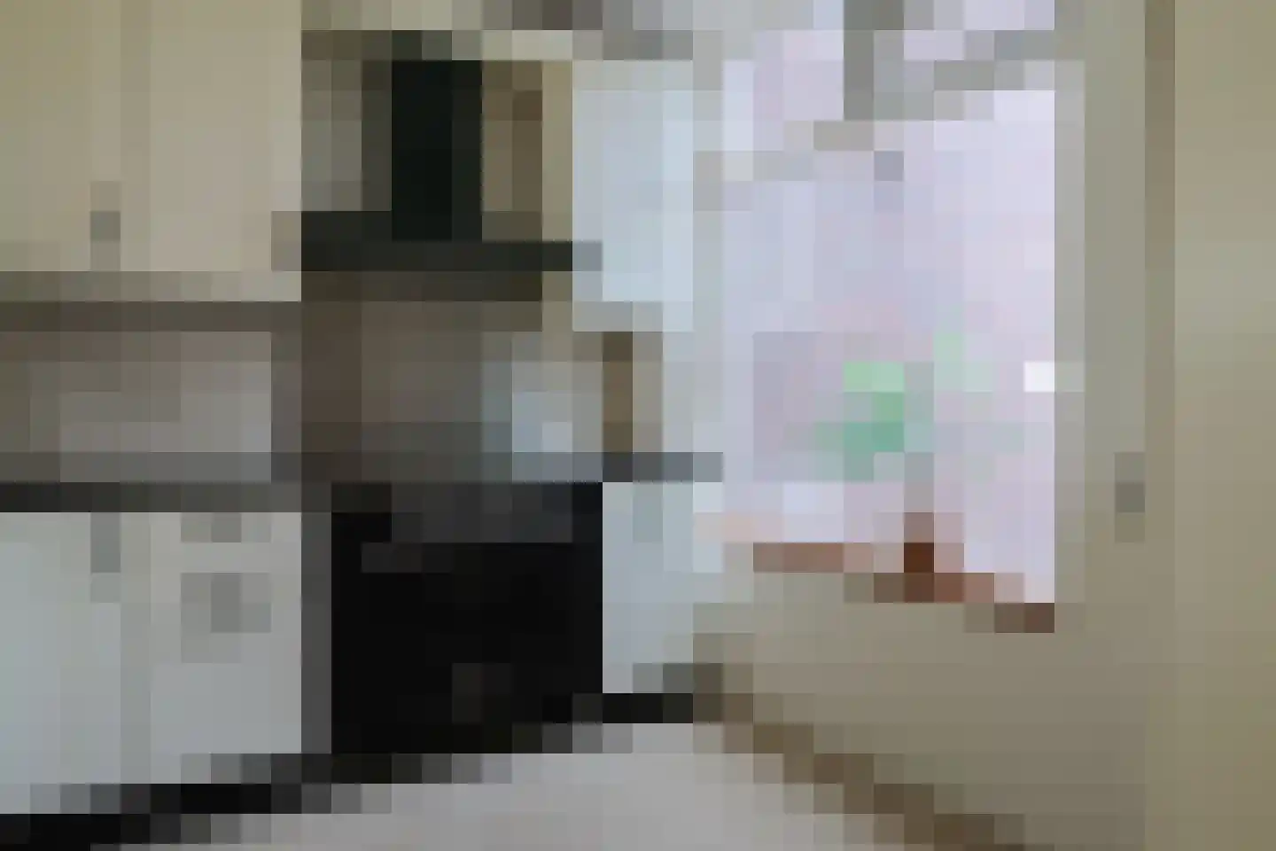 Zwenkgras 22 Leeuwarden thumbnail 6