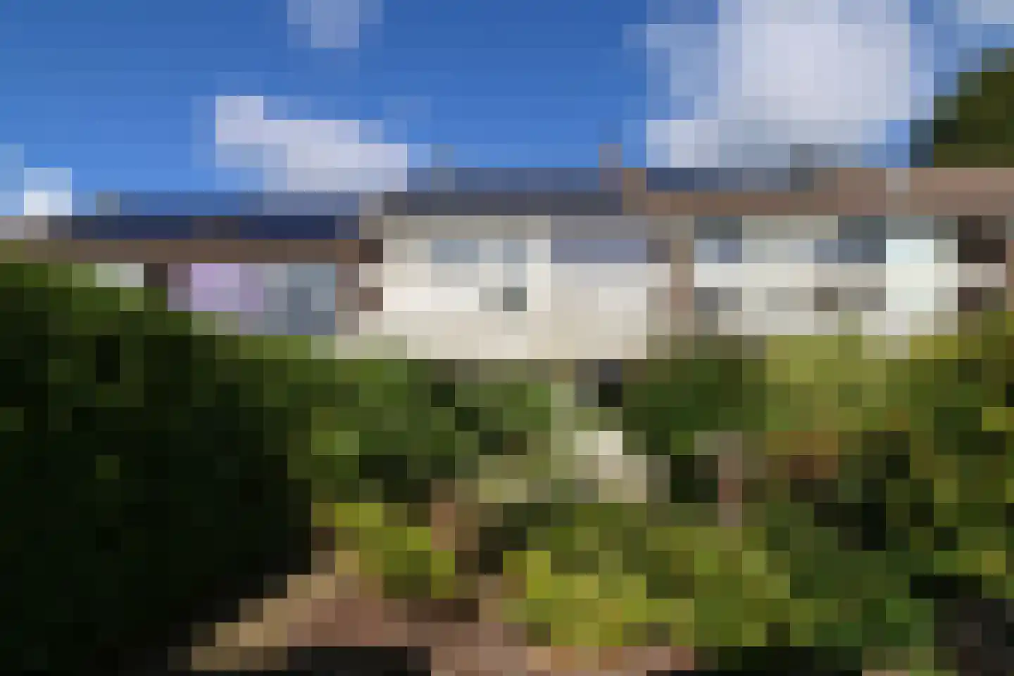 Zwenkgras 22 Leeuwarden thumbnail 60