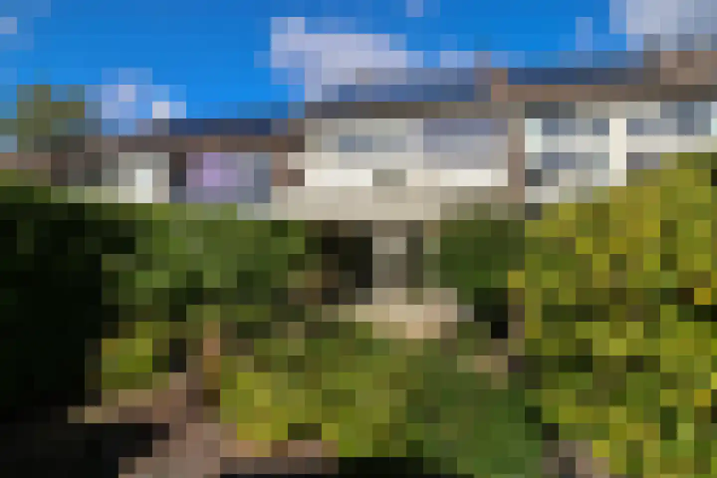 Zwenkgras 22 Leeuwarden thumbnail 61