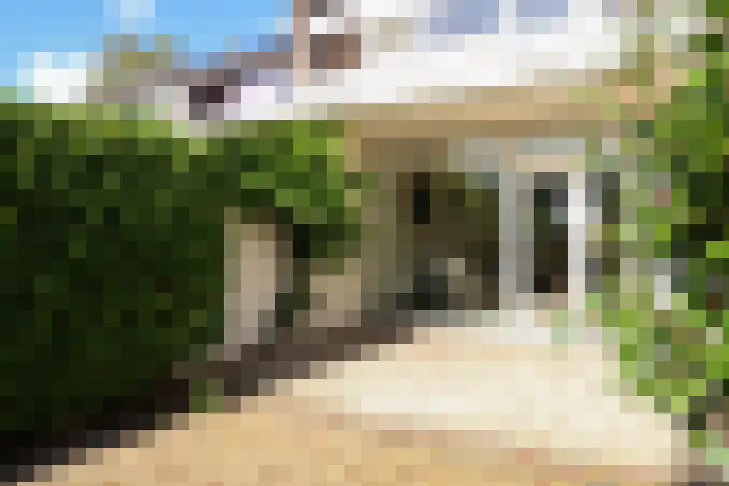 Zwenkgras 22 Leeuwarden thumbnail 62