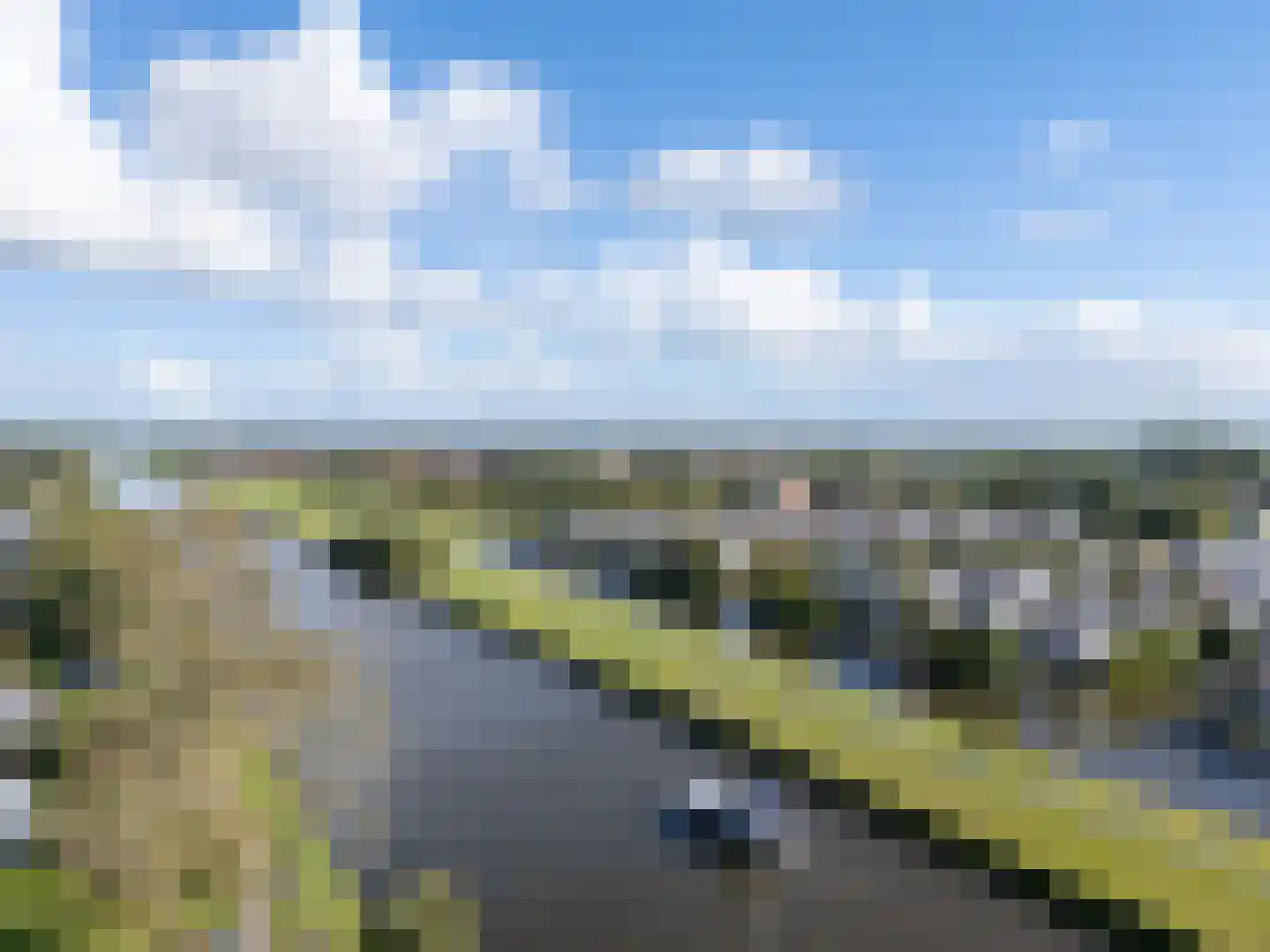 Zwenkgras 22 Leeuwarden thumbnail 65