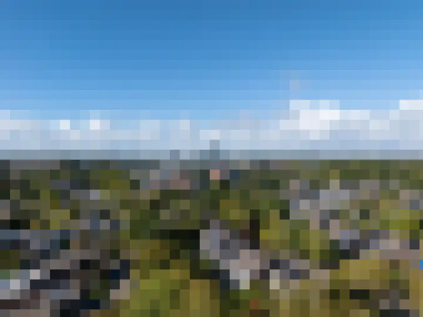 Zwenkgras 22 Leeuwarden thumbnail 66