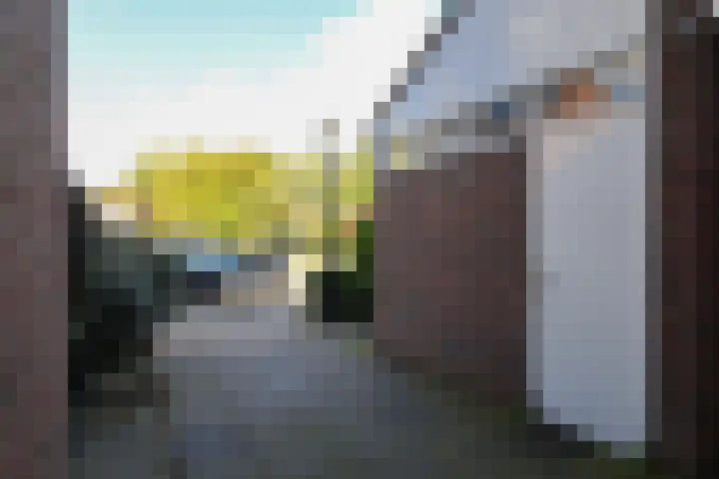 Zwenkgras 22 Leeuwarden thumbnail 67