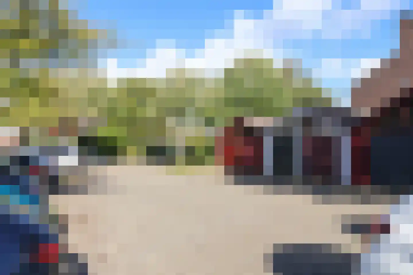 Zwenkgras 22 Leeuwarden thumbnail 68