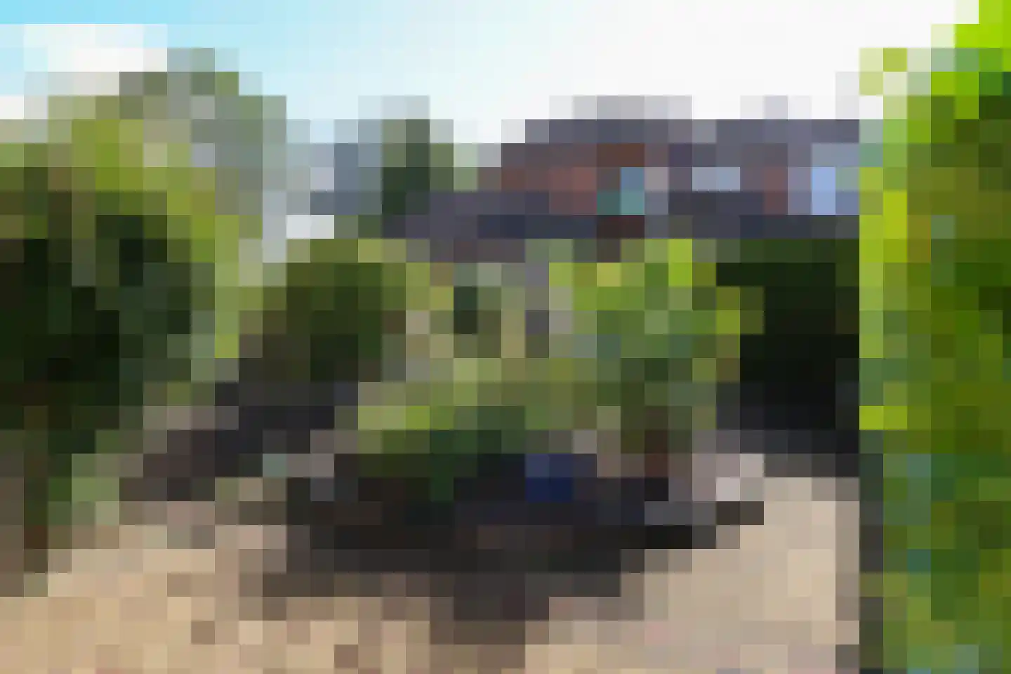 Zwenkgras 22 Leeuwarden thumbnail 9