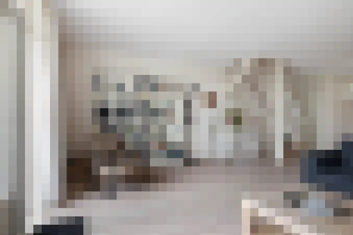 Zwenkgras 24 Leeuwarden thumbnail 15