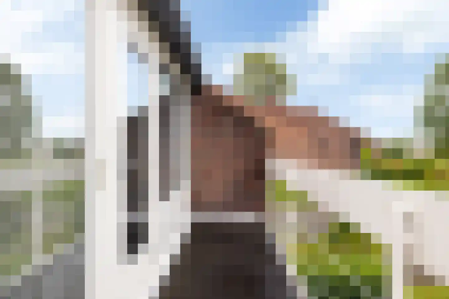 Zwenkgras 24 Leeuwarden thumbnail 26