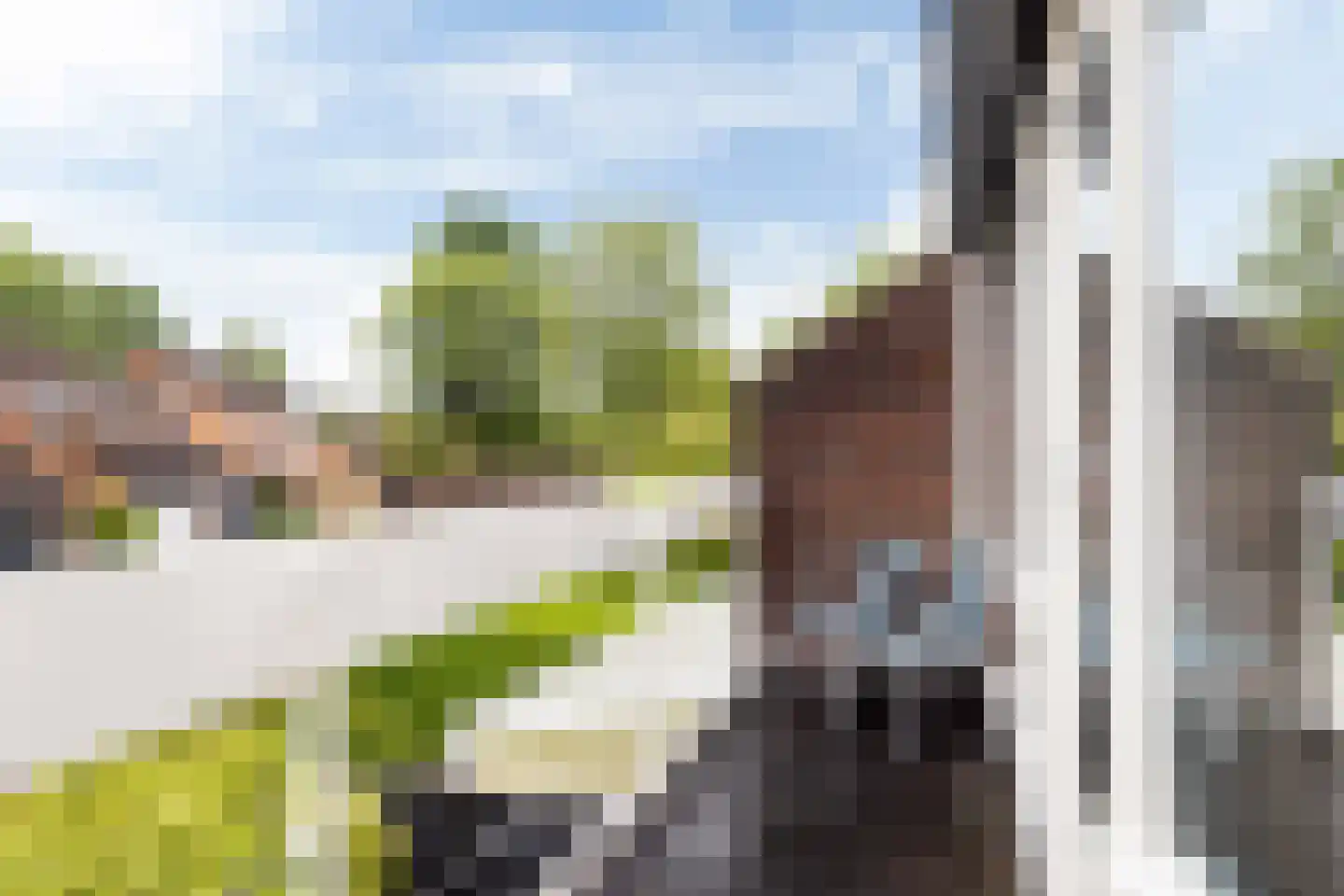 Zwenkgras 24 Leeuwarden thumbnail 27